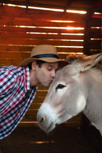 Cleo, a good-hearted donkey (2023)