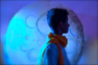 The little prince (2016)