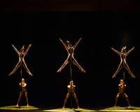 Momix - Opus Cactus (2016)