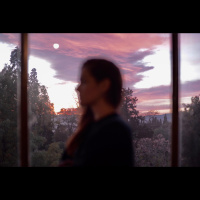The Seagull (2021)
