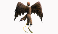 Birds (2016)