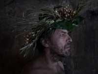 About nature (2016)