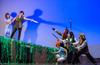 Peter Pan (2013)