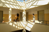 Pose_Transpose (2021)