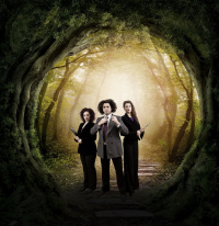 Lies or truth (2016)