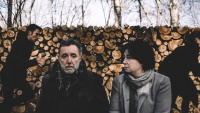Πυρκαγιές (2019)