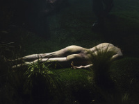 Ριχάρδος Β' (2016)