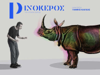 The rhinoceros (2020)
