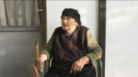 Ρίζες (2018)