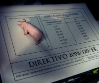 Domo de Eŭropa Historio en ekzilo (Το σπίτι της Ευρωπαϊκής Ιστορίας στην εξορία) 2016