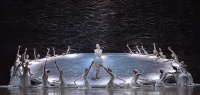 Swan lake (2012)