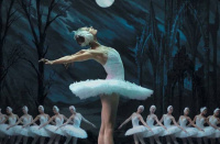 Swan lake (2012)