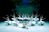 Swan lake (2012)
