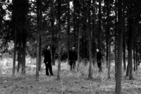 Ταξίδι το χειμώνα (2015)