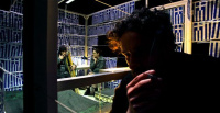 Spectators (2013)