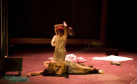 The Taming of the Shrew (2008)