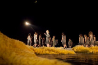 Trachinias (2013)