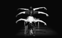 Vitae Picturae (2016)