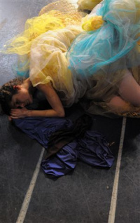 Αλεξάνδρα Αϊδίνη - Ο εφιάλτης της ευτυχίας, 2009 (θέατρο)