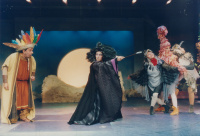 Βάσια Λακουμέντα - Η χώρα των πουλιών, 2002 (θέατρο)