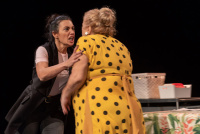 Ελένη Καστάνη - Μαμά, 2019 (θέατρο)