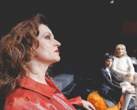 Καρυοφυλλιά Καραμπέτη - Τα πικρά δάκρυα της Πέτρα φον Καντ, 2014 (θέατρο)