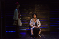 Άννα Βαγενά - Το μπουφάν της Χάρλεϋ και ο Κύριος Μάκης, 2015 (θέατρο)